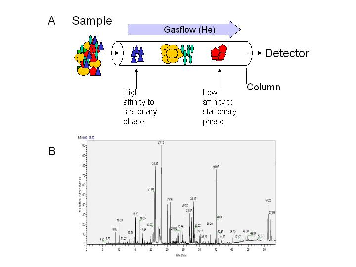 GC Experiments