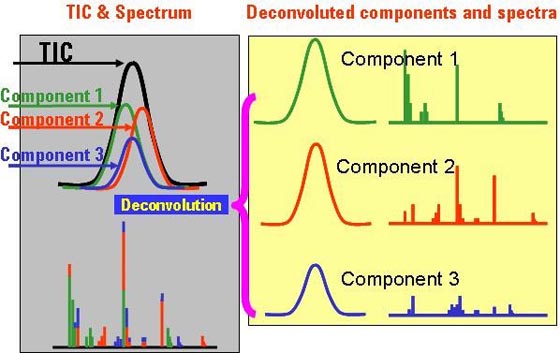 Chromatogram MS