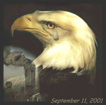 Bald Eagle Weeping for victims of 911